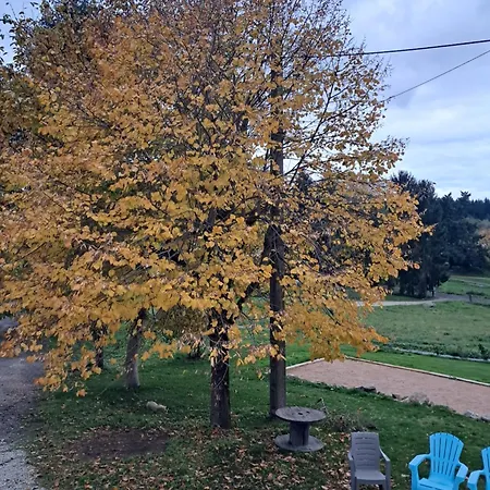 Tt Confort Les Berlingots Frühstückspension Monistrol-sur-Loire